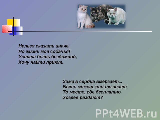 Нельзя сказать иначе,Но жизнь моя собачья!Устала быть бездомной,Хочу найти приют. Зима в сердца вмерзает...Быть может кто-то знаетТо место, где бесплатноХозяев раздают?