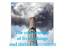 The relationship of living things and their environment
