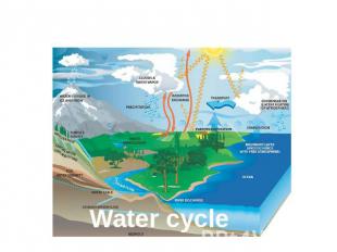 The balance of nature Water cycle