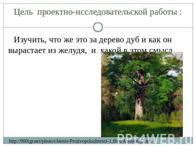 Цель проектно-исследовательской работы : Изучить, что же это за дерево дуб и как он вырастает из желудя, и какой в этом смысл