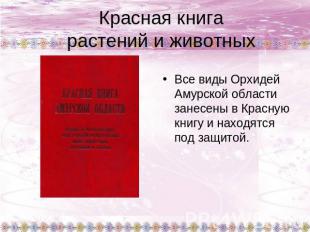 Красная книга растений и животных Все виды Орхидей Амурской области занесены в К