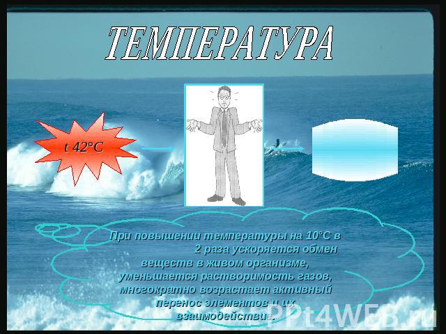 ТЕМПЕРАТУРА При повышении температуры на 10°С в 2 раза ускоряется обмен веществ в живом организме, уменьшается растворимость газов, многократно возрастает активный перенос элементов и их взаимодействие.