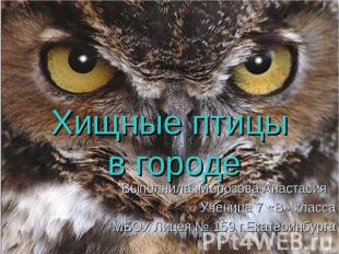 Хищные птицы в городе Выполнила: Морозова АнастасияУченица 7 «В» классаМБОУ Лице