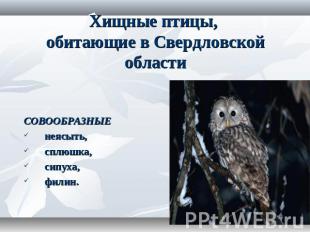 Хищные птицы, обитающие в Свердловской области СОВООБРАЗНЫЕ неясыть, сплюшка, си