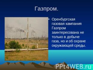 Газпром. Оренбургская газовая кампания Газпром заинтересована не только в добыче