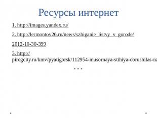 Ресурсы интернет 1. http://images.yandex.ru/2. http://lermontov26.ru/news/szhiga