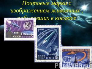 Почтовые марки с изображением животных , побывавших в космосе