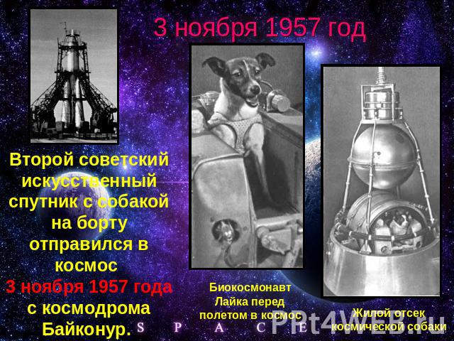 3 ноября 1957 год Второй советский искусственный спутник с собакой на борту отправился в космос 3 ноября 1957 года с космодрома Байконур. Биокосмонавт Лайка перед полетом в космос Жилой отсек космической собаки