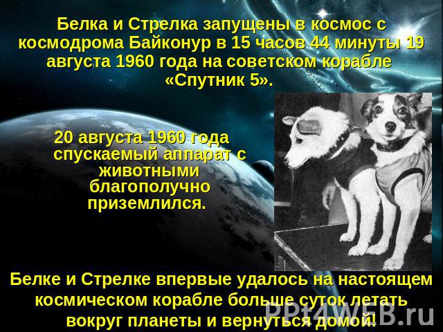Белка и Стрелка запущены в космос с космодрома Байконур в 15 часов 44 минуты 19 августа 1960 года на советском корабле «Спутник 5». 20 августа 1960 года спускаемый аппарат с животными благополучно приземлился. Белке и Стрелке впервые удалось на наст…