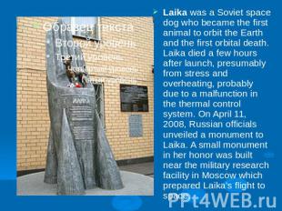 Laika was a Soviet space dog who became the first animal to orbit the Earth and
