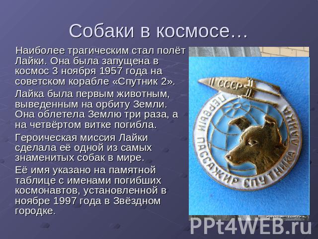 Собаки в космосе… Наиболее трагическим стал полёт Лайки. Она была запущена в космос 3 ноября 1957 года на советском корабле «Спутник 2». Лайка была первым животным, выведенным на орбиту Земли. Она облетела Землю три раза, а на четвёртом витке погибл…