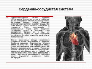 Сердечно-сосудистая система Сердечно-сосудистая система призвана обеспечивать ци