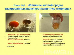 Опыт №6 «Влияние кислой среды газированных напитков на яичную скорлупу» Материал