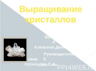 Выращивание кристаллов Выполнил: ученик 8 класса А Алексеев Денис Руководитель: