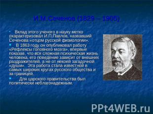 И.М.Сеченов (1829 – 1905) Вклад этого ученого в науку метко охарактеризовал И.П.