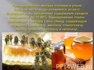 При переработке нектара пчелами в ульях большая часть воды испаряется из него, б