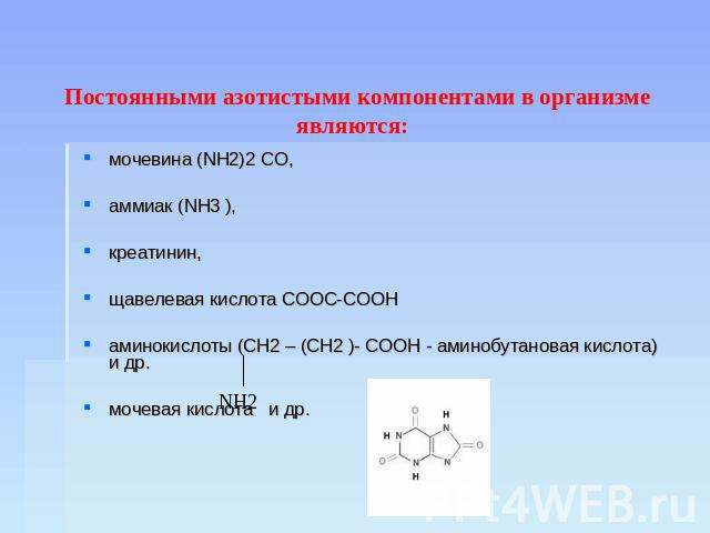 Постоянными азотистыми компонентами в организме являются: мочевина (NH2)2 CO, аммиак (NH3 ), креатинин, щавелевая кислота COOC-COOH аминокислоты (CH2 – (CH2 )- COOH - аминобутановая кислота) и др.мочевая кислота и др.