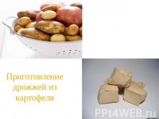 Приготовление дрожжей из картофеля