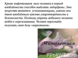 Кроме амфетаминов мозг человека в период влюблённости способен выделять эндорфин