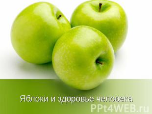 Яблоки и здоровье человека