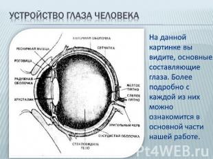 Устройство глаза человека На данной картинке вы видите, основные составляющие гл