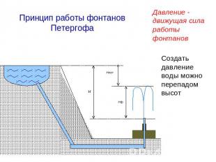 Принцип работы фонтанов Петергофа Давление - движущая сила работы фонтанов Созда