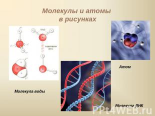 Молекулы и атомы в рисунках Молекула воды Атом Молекула ДНК