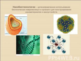 Нанобиотехнологии – целенаправленное использование биологических макромолекул и