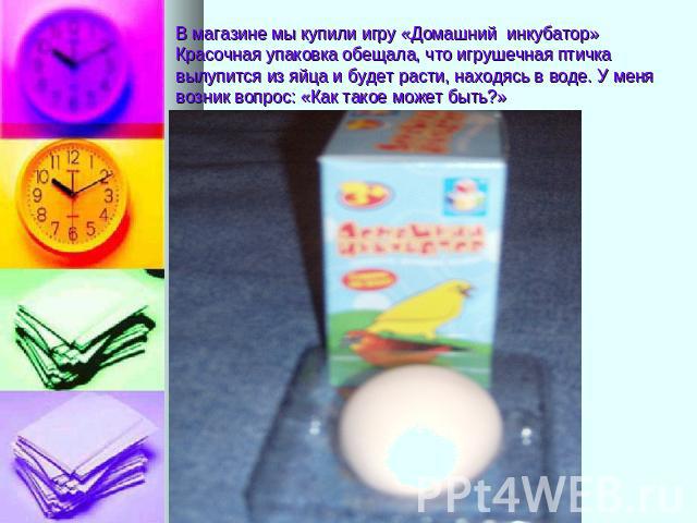 В магазине мы купили игру «Домашний инкубатор» Красочная упаковка обещала, что игрушечная птичка вылупится из яйца и будет расти, находясь в воде. У меня возник вопрос: «Как такое может быть?»