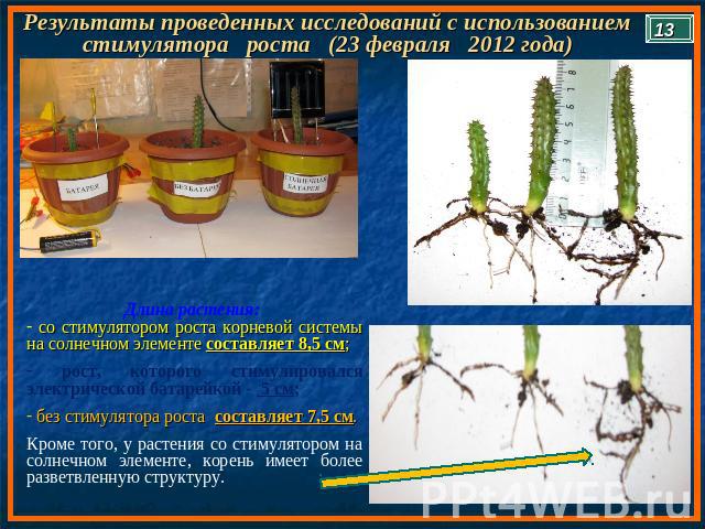 Результаты проведенных исследований с использованием стимулятора роста (23 февраля 2012 года) Длина растения: со стимулятором роста корневой системы на солнечном элементе составляет 8,5 см; рост, которого стимулировался электрической батарейкой - 5 …