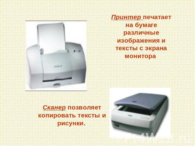Принтер печатает на бумаге различные изображения и тексты с экрана монитора Сканер позволяет копировать тексты и рисунки.