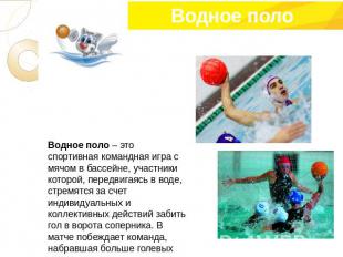 Водное поло – это спортивная командная игра с мячом в бассейне, участники которо