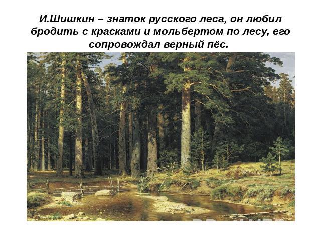 И.Шишкин – знаток русского леса, он любил бродить с красками и мольбертом по лесу, его сопровождал верный пёс.