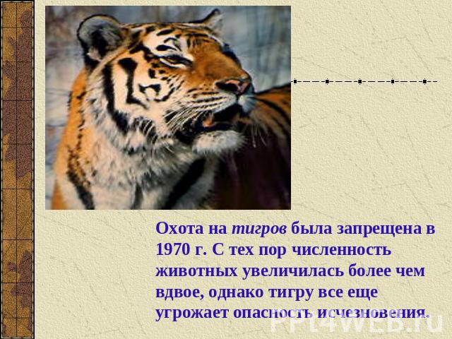 Охота на тигров была запрещена в 1970 г. С тех пор численность животных увеличилась более чем вдвое, однако тигру все еще угрожает опасность исчезновения.
