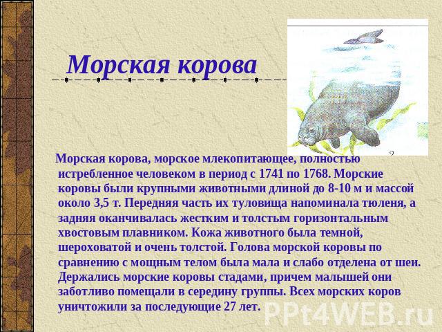 Морская корова Морская корова, морское млекопитающее, полностью истребленное человеком в период с 1741 по 1768. Морские коровы были крупными животными длиной до 8-10 м и массой около 3,5 т. Передняя часть их туловища напоминала тюленя, а задняя окан…