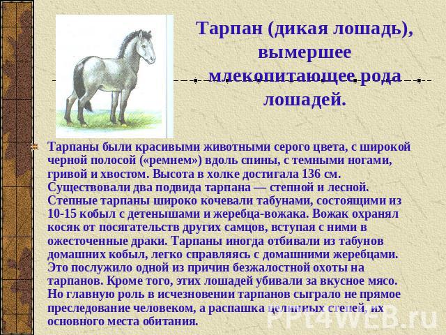 Тарпан (дикая лошадь), вымершее млекопитающее рода лошадей.Тарпаны были красивыми животными серого цвета, с широкой черной полосой («ремнем») вдоль спины, с темными ногами, гривой и хвостом. Высота в холке достигала 136 см. Существовали два подвида …