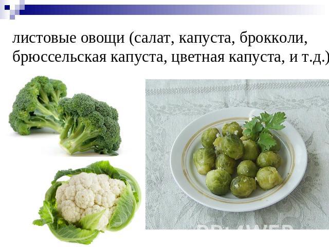 листовые овощи (салат, капуста, брокколи, брюссельская капуста, цветная капуста, и т.д.),