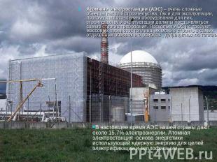 Атомные электростанции (АЭС) – очень сложные объекты как для строительства, так