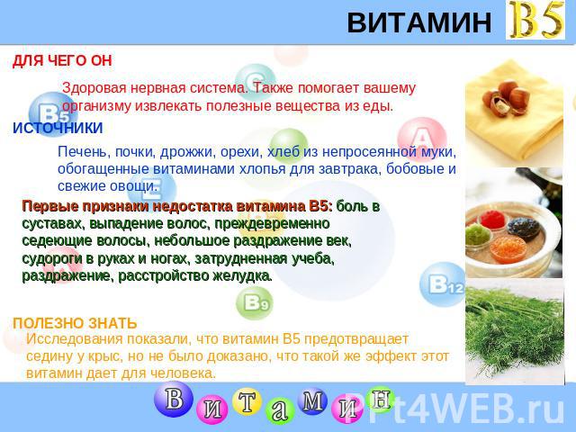 ВИТАМИН B5 Здоровая нервная система. Также помогает вашему организму извлекать полезные вещества из еды. Печень, почки, дрожжи, орехи, хлеб из непросеянной муки, обогащенные витаминами хлопья для завтрака, бобовые и свежие овощи. Первые признаки нед…