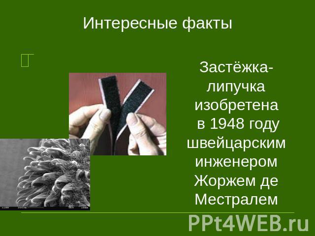 Интересные факты Застёжка-липучка изобретена в 1948 году швейцарским инженером Жоржем де Местралем