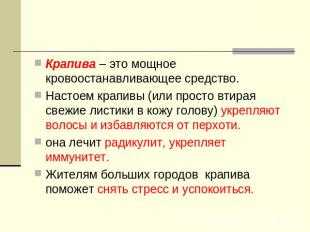 Крапива – это мощное кровоостанавливающее средство. Настоем крапивы (или просто