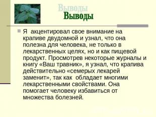 Я акцентировал свое внимание на крапиве двудомной и узнал, что она полезна для ч