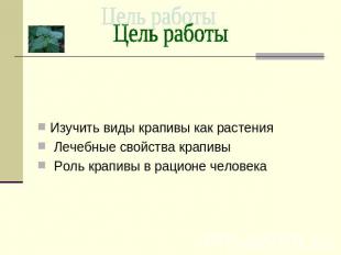 Изучить виды крапивы как растения Лечебные свойства крапивы Роль крапивы в рацио