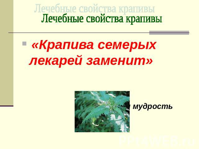 «Крапива семерых лекарей заменит» Народная мудрость