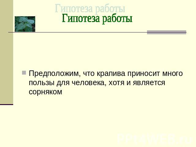 Предположим, что крапива приносит много пользы для человека, хотя и является сорняком