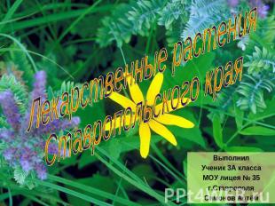 Лекарственные растенияСтавропольского края ВыполнилУченик 3А классаМОУ лицея № 3