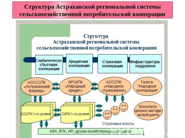 Структура Астраханской региональной системы сельскохозяйственной потребительской кооперации