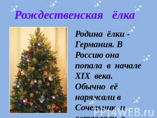 Рождественская ёлкаРодина ёлки - Германия. В Россию она попала в начале XIX века