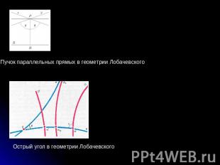 Пучок параллельных прямых в геометрии Лобачевского Острый угол в геометрии Лобач