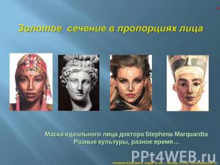 Золотое сечение в пропорциях лица Маска идеального лица доктора Stephena Marquar